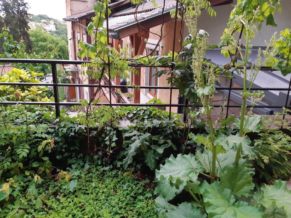 B&B J'Irais Dormir A Лион Экстерьер фото